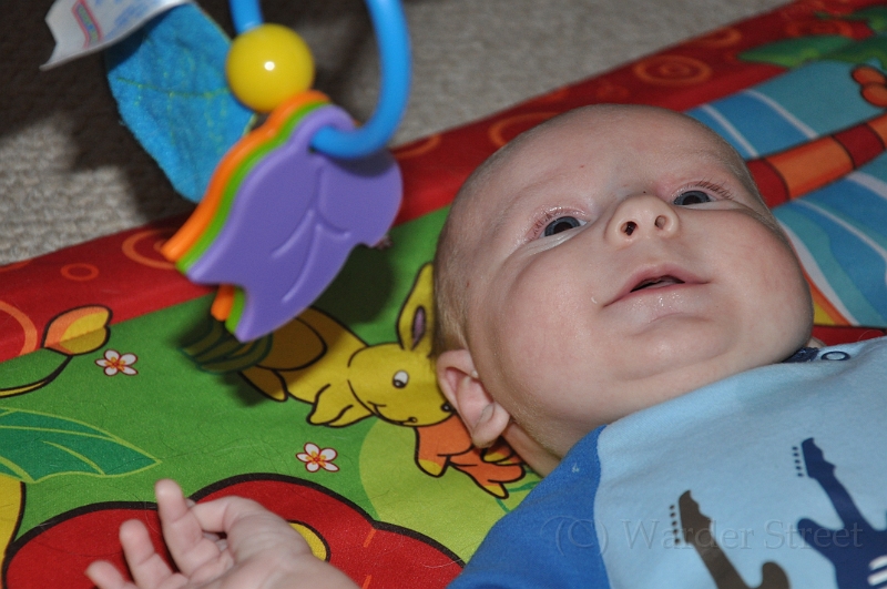 William's Tenth Week 25.jpg